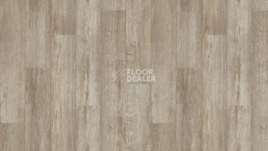 Линолеум Tarkett Idylle Nova FARGO 2 фото 1 | FLOORDEALER